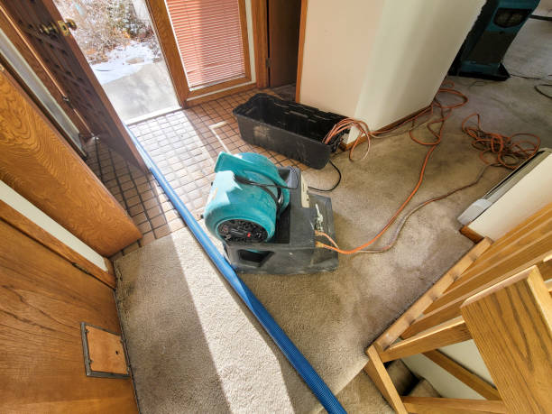 Best Local water damage restoration  in Placentia, CA