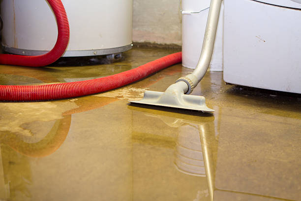 Best Flood damage cleanup  in Placentia, CA