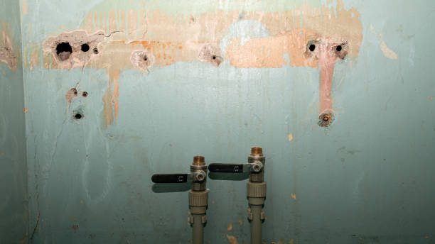 Best Fire Damage Restoration  in Placentia, CA