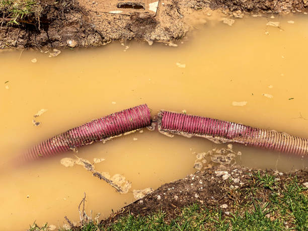 Best Flood restoration services  in Placentia, CA