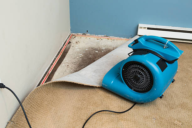 Best Water damage restoration near me  in Placentia, CA